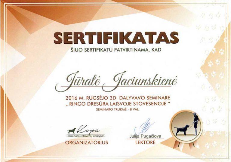 2017-09-03 Seminaras „Ringo dresūra laisvoje stovėsenoje“