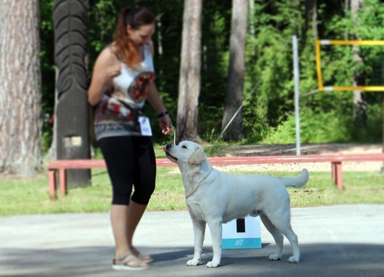 LEKK National Dog Show (Estija), JC, BOB