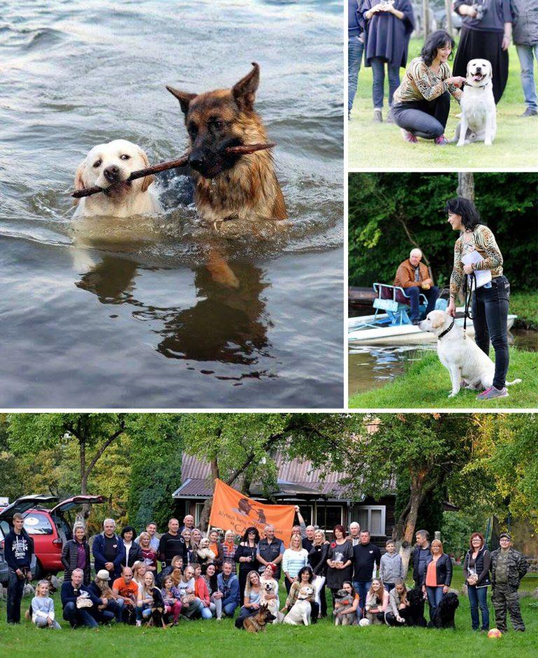 Alytaus canis veislynas Gerulis