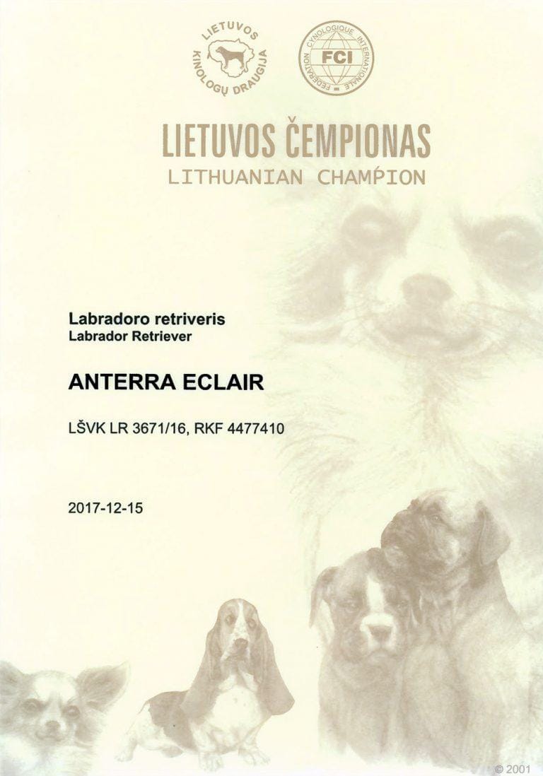 Ekleras – Lietuvos Čempionas!