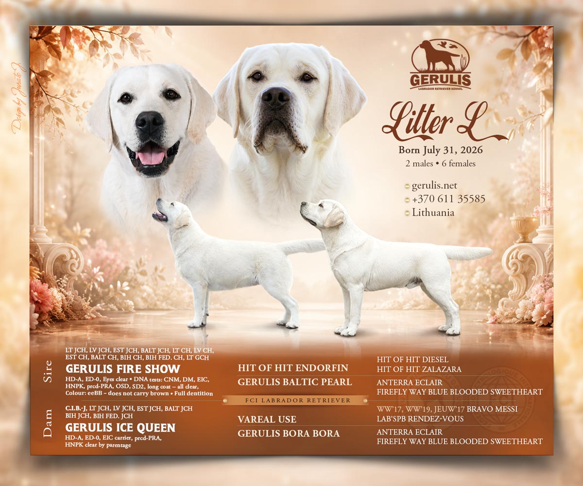 Vada L Litter L GERULIS FIRE SHOW & GERULIS ICE QUEEN