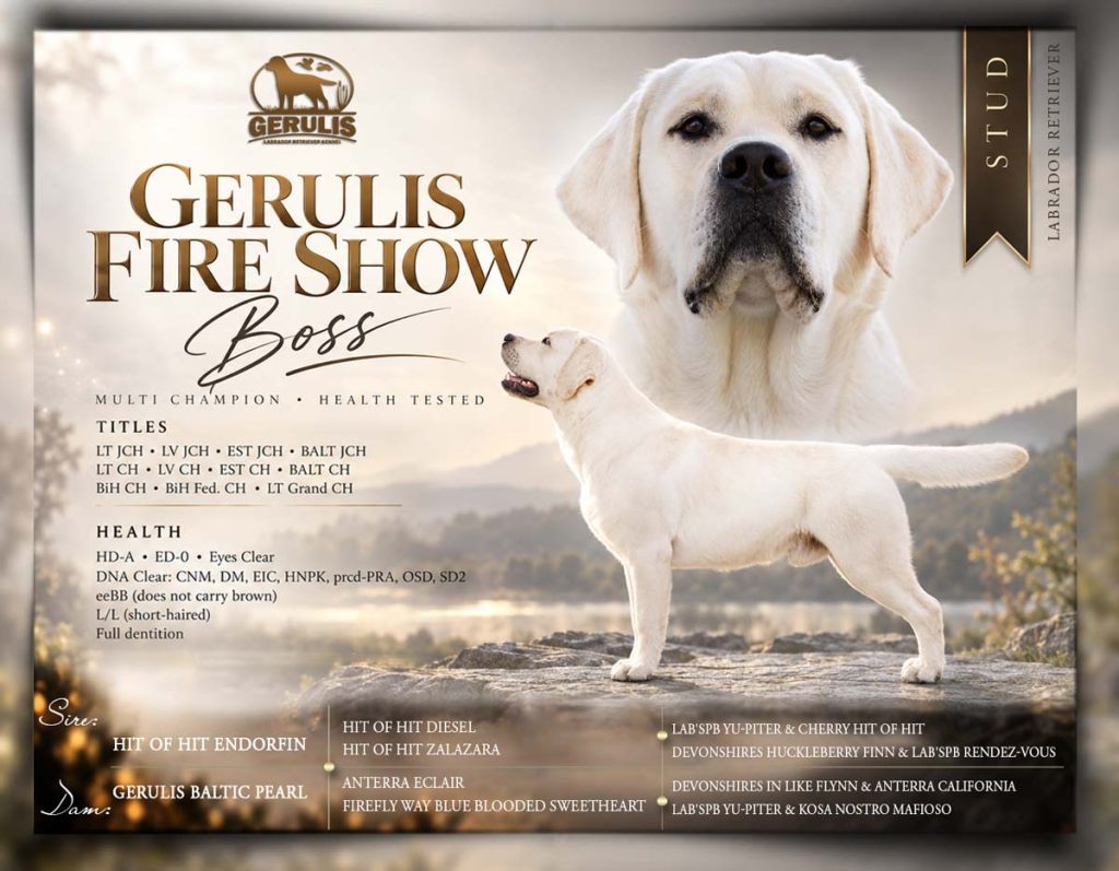 Gerulis Fire Show